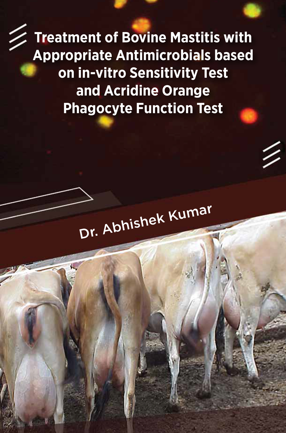 Treatment of Bovine Mastitis with Appropriate Antimicrobials based on in vitro Sensitivity Test and Acridine Orange Phagocyte Function Test​
